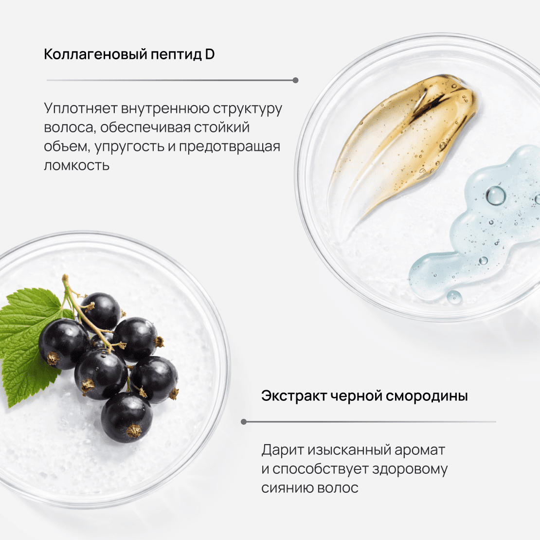 SCALP-D BEAUTE Fuwaly Treatment Pack