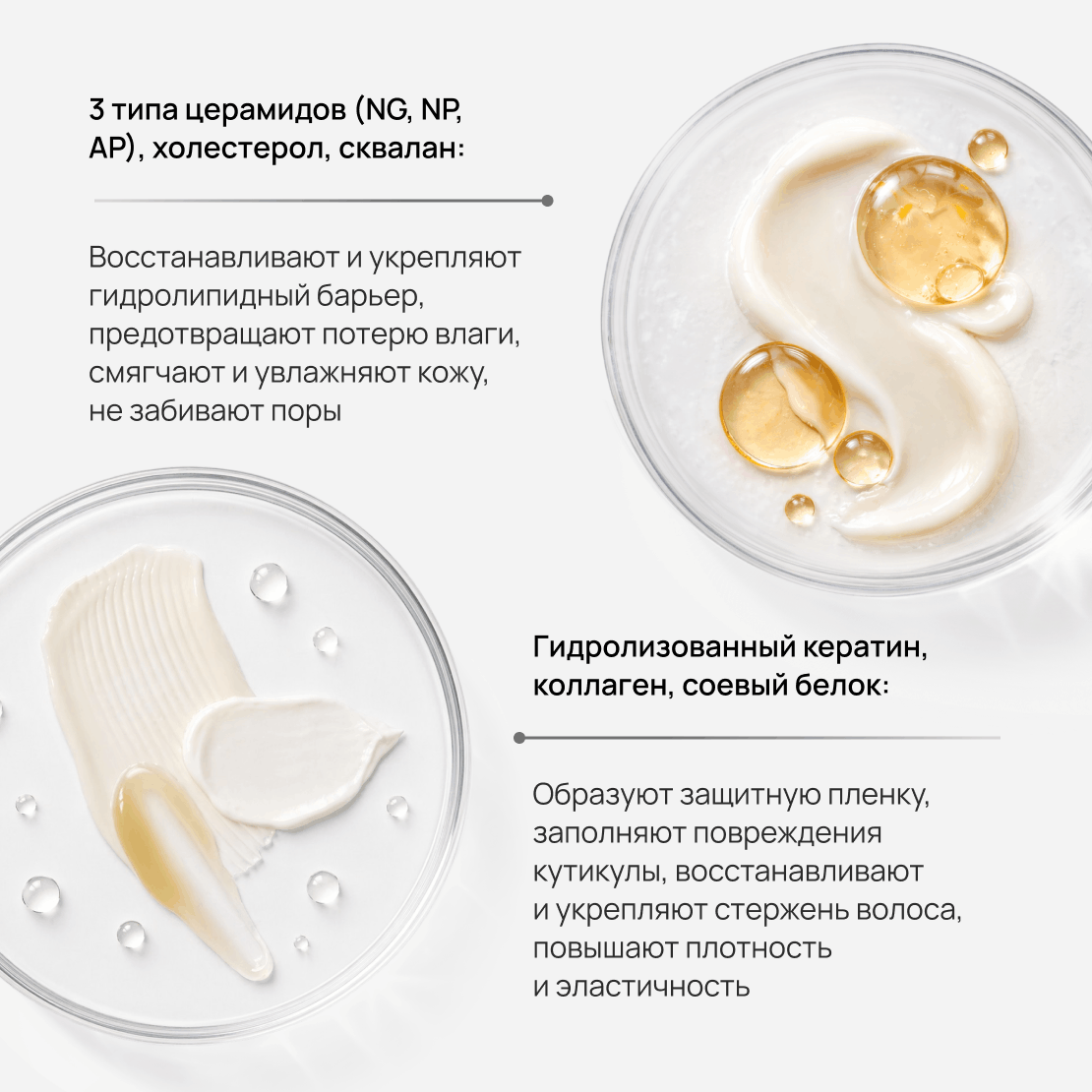 SCALP-D Premium Conditioner