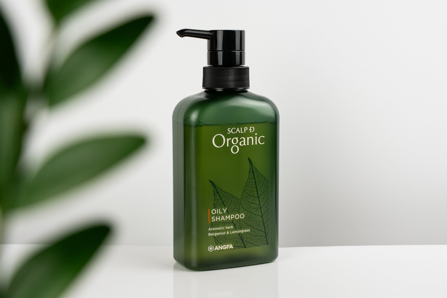 Scalp D Organic oily shampoo