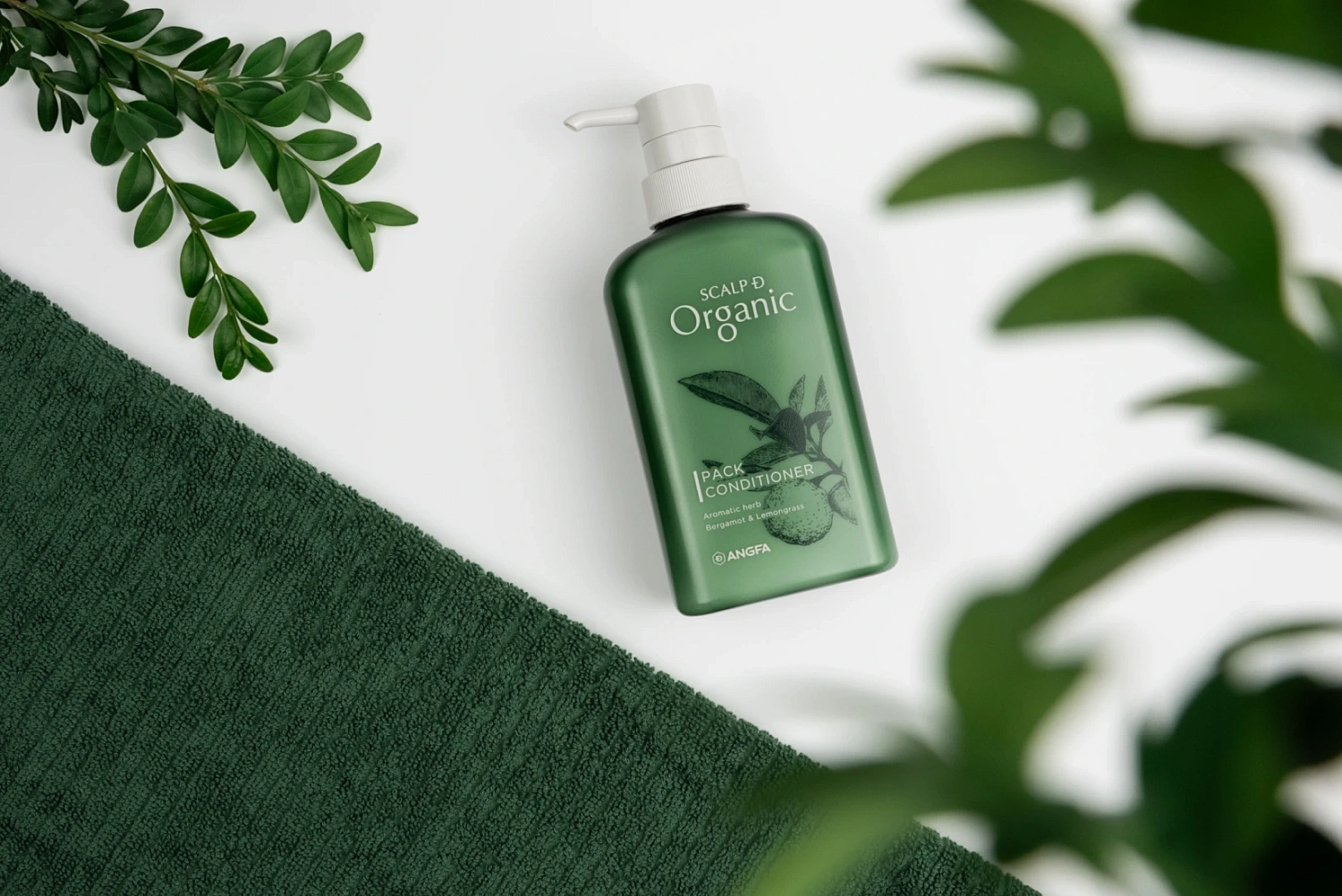 Scalp D Organic pack conditioner