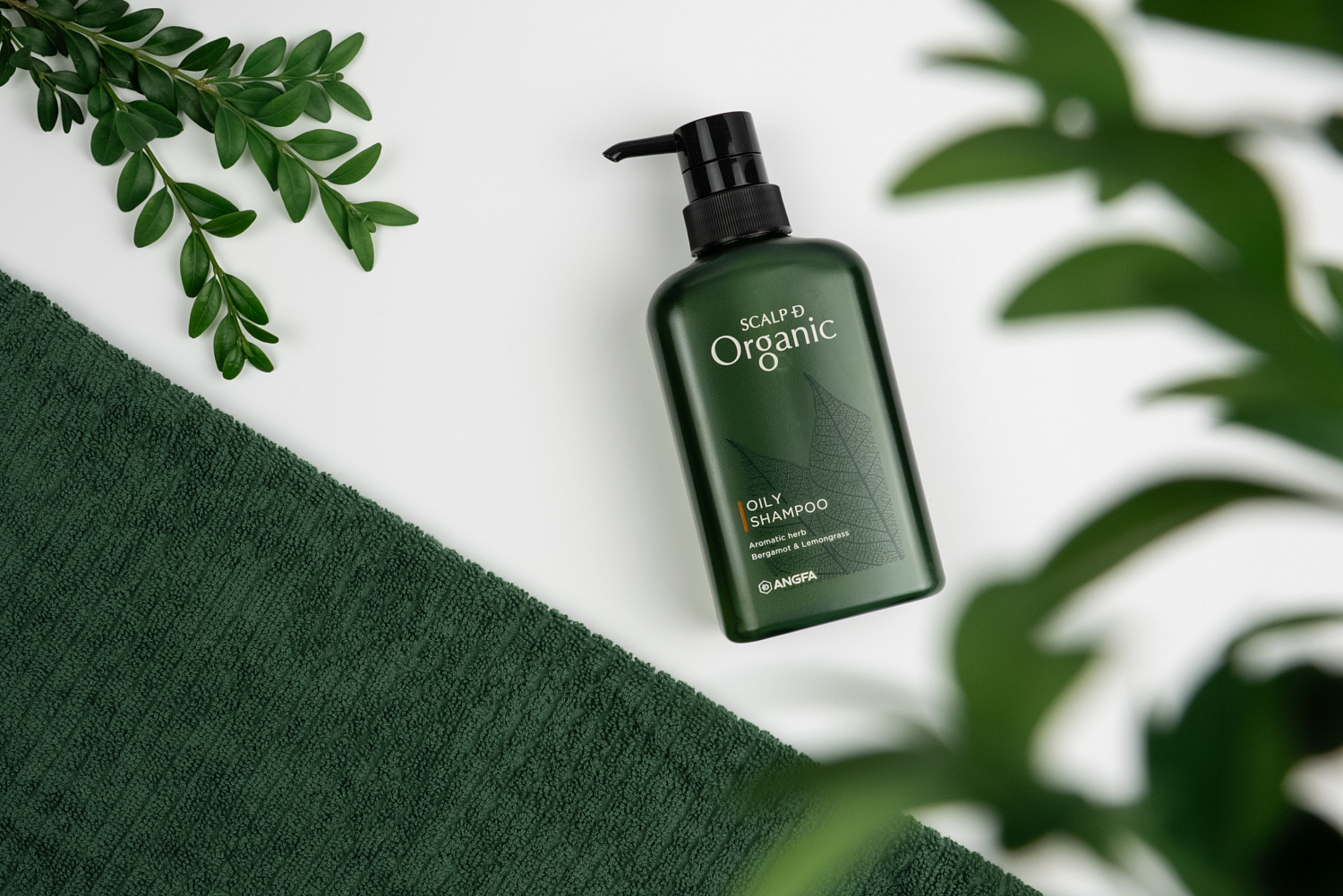 Scalp D Organic oily shampoo