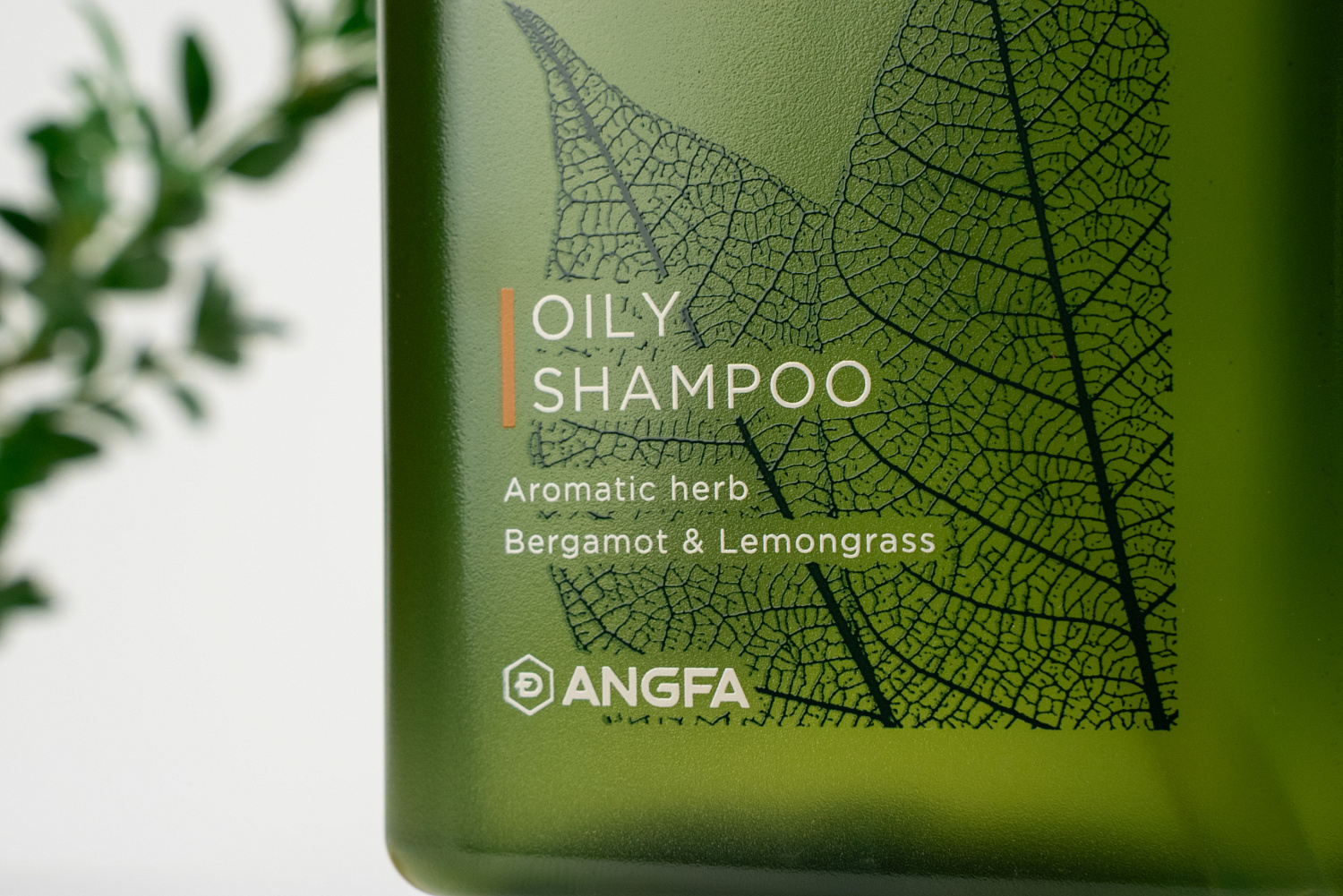 Scalp D Organic oily shampoo